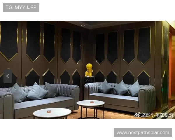 ag会贵宾厅享受尊贵服务体验,商务会议休闲娱乐的理想场所