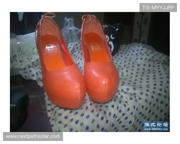 凯发官方网址最新版本下载指南与常见问题解决方案详解